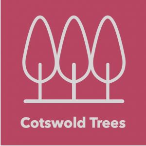 Cotswold Trees