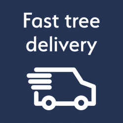 Fast tree delivery