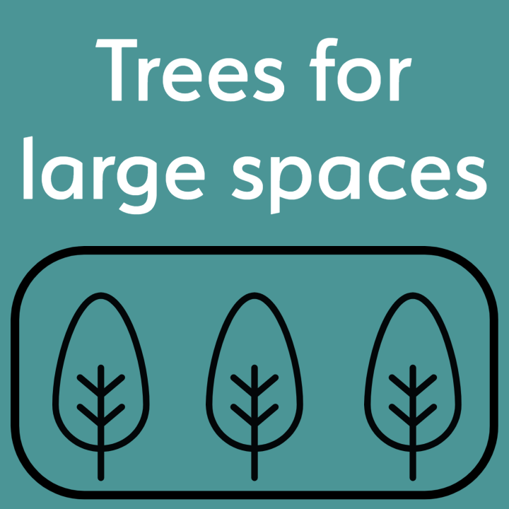 Trees for large spaces