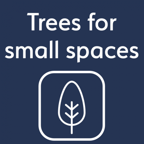 Trees for small spaces