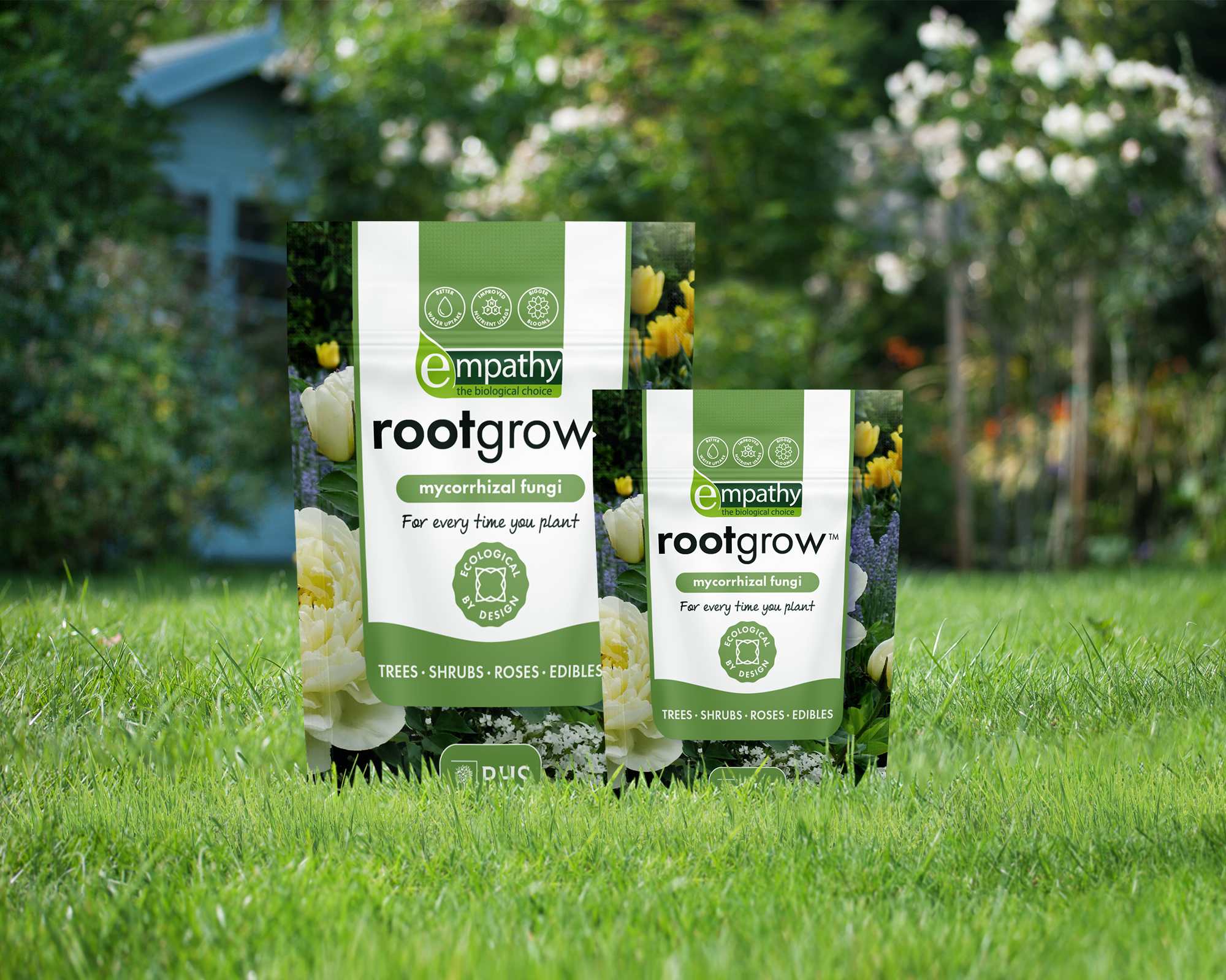 Rootgrow mycorrhizal fungi